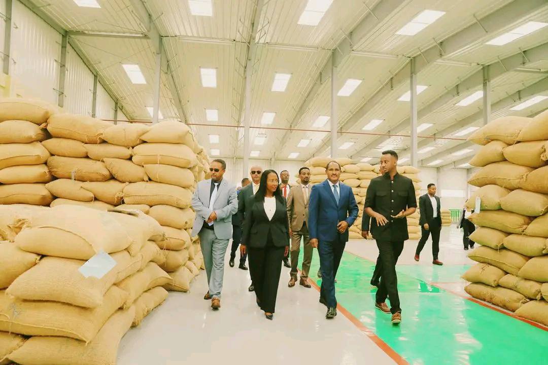 ሲዳማ ቡና (1ኛ ደረጃ)