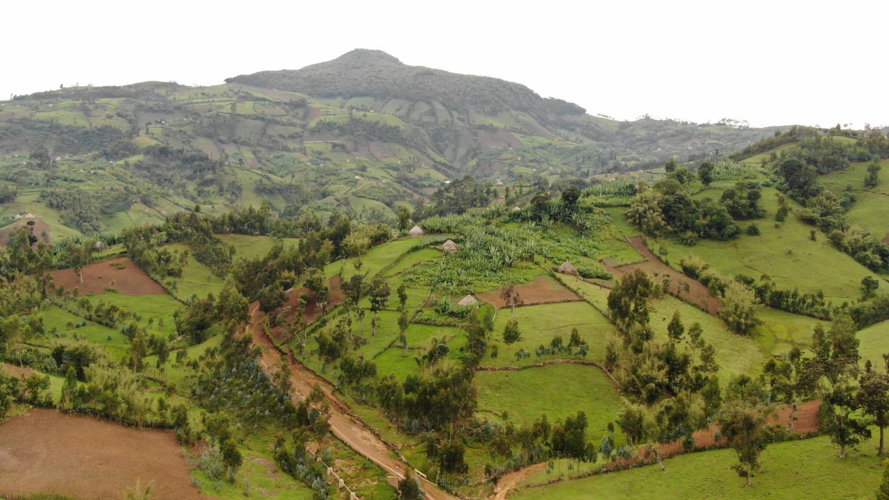 ጂኦግራፊያዊ አቀማመጥ